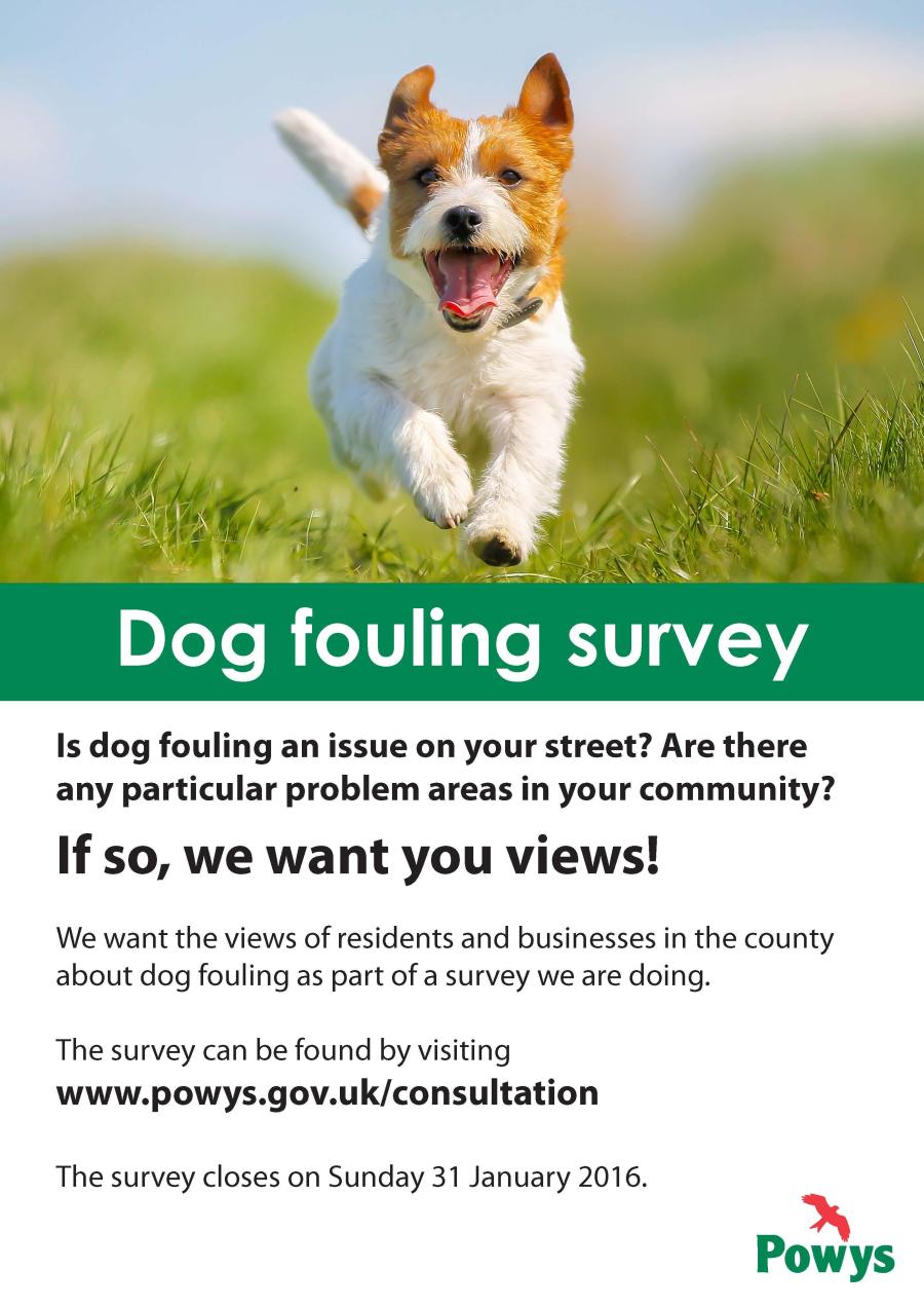 POster - Dog Fouling Survey.jpg