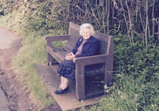 Bench on Bellfountain Road