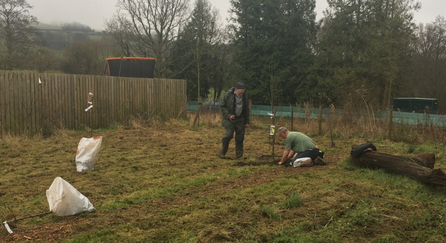 Nature Garden - planting of pear and apple tree