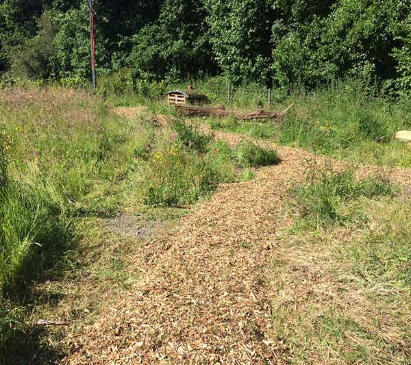 Bark Path and wooden structures in the Vale of Grwyney